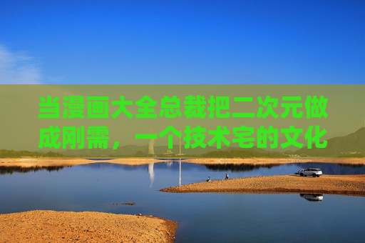 当漫画大全总裁把二次元做成刚需，一个技术宅的文化突围战，技术宅总裁，二次元刚需的文化突围战