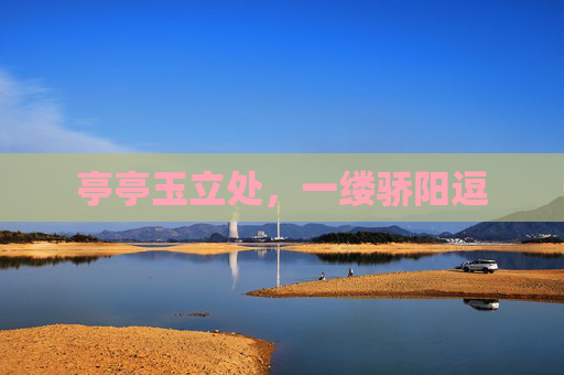 亭亭玉立处,一缕骄阳逗 亭亭玉立处,一缕骄阳逗