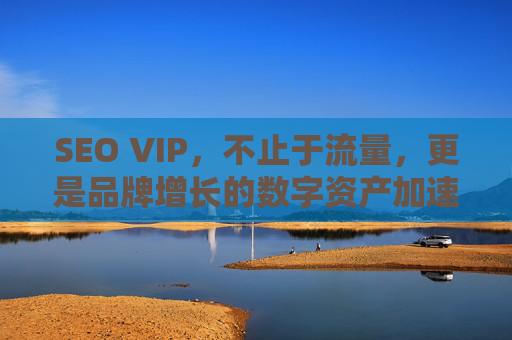 SEO VIP,不止于流量,更是品牌增长的数字资产加速器,SEO VIP,不止于流量,更是品牌增长的数字资产加速器 SEO VIP,不止于流量,更是品牌增长的数字资产加速器,SEO VIP,不止于流量,更是品牌增长的数字资产加速器