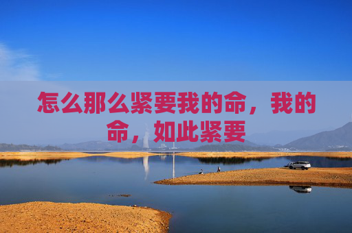 怎么那么紧要我的命,我的命,如此紧要 怎么那么紧要我的命,我的命,如此紧要