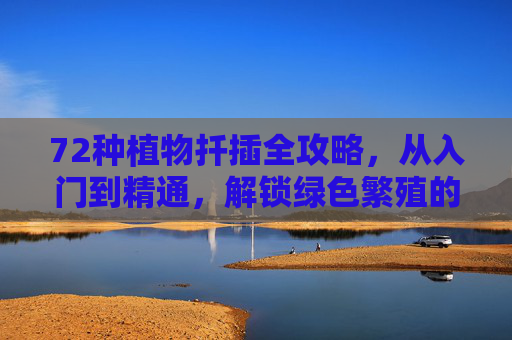 72种植物扦插全攻略,从入门到精通,解锁绿色繁殖的无限可能,72种植物扦插全攻略,从入门到精通,解锁绿色繁殖无限可能 72种植物扦插全攻略,从入门到精通,解锁绿色繁殖的无限可能,72种植物扦插全攻略,从入门到精通,解锁绿色繁殖无限可能
