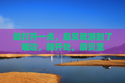 腿打开一点，扇贝就游到了嘴边，腿开处，扇贝至
