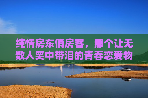 纯情房东俏房客，那个让无数人笑中带泪的青春恋爱物语，纯情房东俏房客，笑中带泪的青春物语