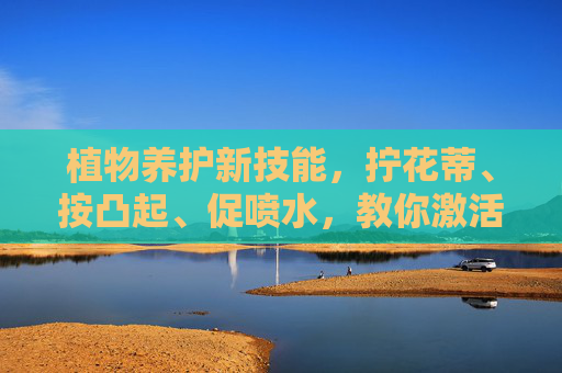 植物养护新技能，拧花蒂、按凸起、促喷水，教你激活植物活力的实用教程，拧花蒂、按凸起、促喷水，激活植物活力的养护新技能