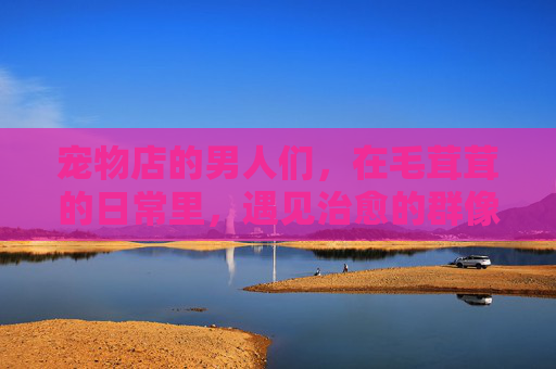 宠物店的男人们，在毛茸茸的日常里，遇见治愈的群像故事，宠物店男人们，毛茸日常的治愈群像