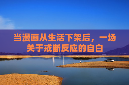 当漫画从生活下架后,一场关于戒断反应的自白 当漫画从生活下架后,一场关于戒断反应的自白