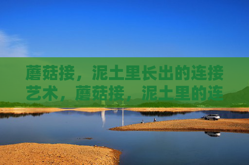 蘑菇接,泥土里长出的连接艺术,蘑菇接,泥土里的连接艺术 蘑菇接,泥土里长出的连接艺术,蘑菇接,泥土里的连接艺术