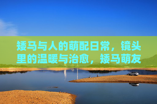 矮马与人的萌配日常,镜头里的温暖与治愈,矮马萌友日常,镜头里的治愈时光 矮马与人的萌配日常,镜头里的温暖与治愈,矮马萌友日常,镜头里的治愈时光