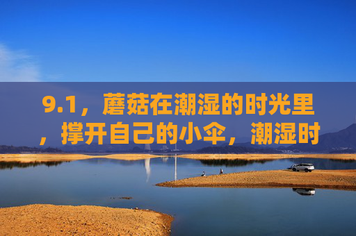 9.1，蘑菇在潮湿的时光里，撑开自己的小伞，潮湿时光里，蘑菇撑开小伞