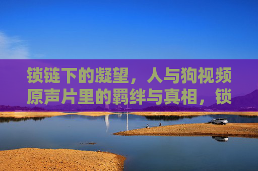 锁链下的凝望,人与狗视频原声片里的羁绊与真相,锁链下的凝望,人与狗的羁绊与真相 锁链下的凝望,人与狗视频原声片里的羁绊与真相,锁链下的凝望,人与狗的羁绊与真相
