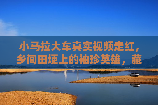 小马拉大车真实视频走红，乡间田埂上的袖珍英雄，藏着生命最倔强的模样，乡间田埂小马拉大车，袖珍生命的倔强模样