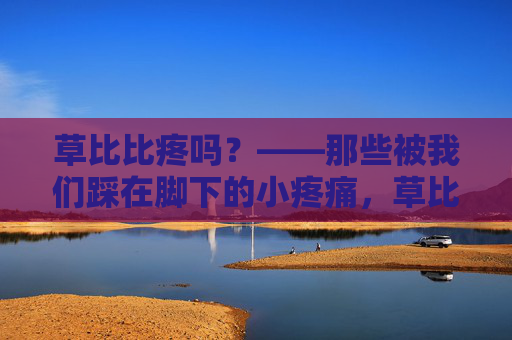 草比比疼吗?——那些被我们踩在脚下的小疼痛,草比比疼吗?被踩在脚下的小疼痛 草比比疼吗?——那些被我们踩在脚下的小疼痛,草比比疼吗?被踩在脚下的小疼痛