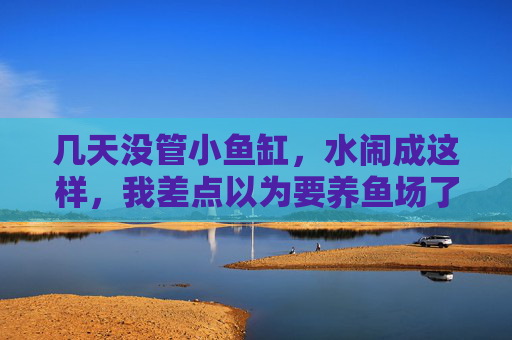 几天没管小鱼缸，水闹成这样，我差点以为要养鱼场了，几天没管小鱼缸，水差点给我整出个养鱼场
