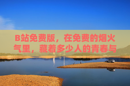 B站免费版，在免费的烟火气里，藏着多少人的青春与热爱？