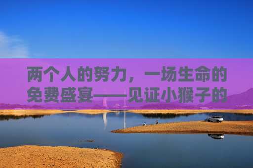 两个人的努力，一场生命的免费盛宴——见证小猴子的诞生，两个人的努力，一场生命的免费盛宴——小猴子的诞生