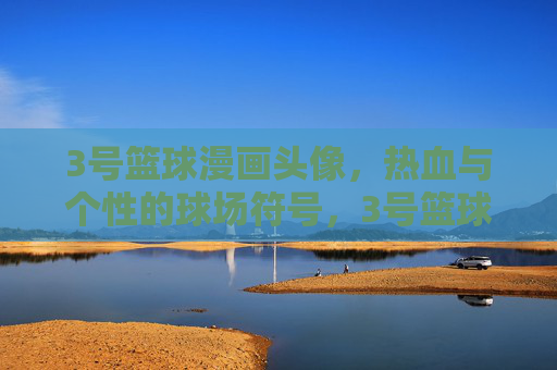3号篮球漫画头像，热血与个性的球场符号，3号篮球漫画头像，热血与个性的球场符号