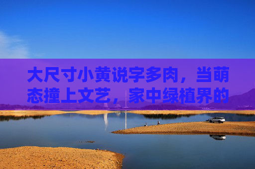 大尺寸小黄说字多肉，当萌态撞上文艺，家中绿植界的显眼包，大尺寸小黄说字多肉，萌态撞文艺的绿植显眼包
