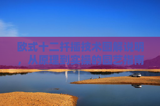 欧式十二扦插技术图解说明,从原理到实操的园艺指南,欧式十二扦插技术图解实操指南 欧式十二扦插技术图解说明,从原理到实操的园艺指南,欧式十二扦插技术图解实操指南