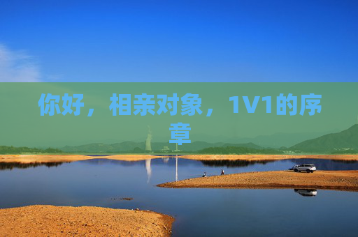 你好，相亲对象，1V1的序章