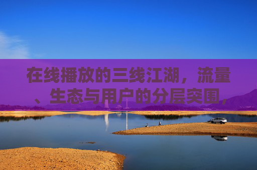 在线播放的三线江湖,流量、生态与用户的分层突围,三线江湖,流量、生态与用户分层突围 在线播放的三线江湖,流量、生态与用户的分层突围,三线江湖,流量、生态与用户分层突围