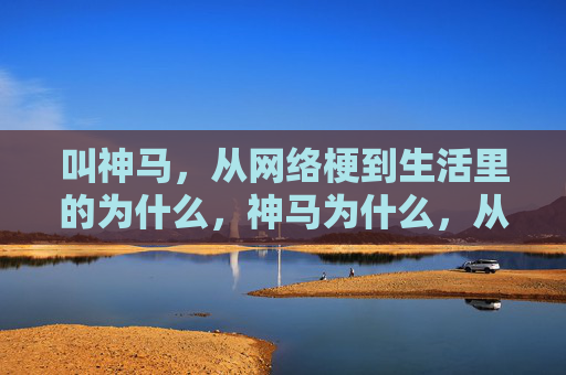 叫神马,从网络梗到生活里的为什么,神马为什么,从网络梗到生活的日常疑问 叫神马,从网络梗到生活里的为什么,神马为什么,从网络梗到生活的日常疑问