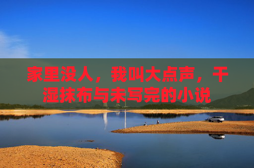 家里没人，我叫大点声，干湿抹布与未写完的小说