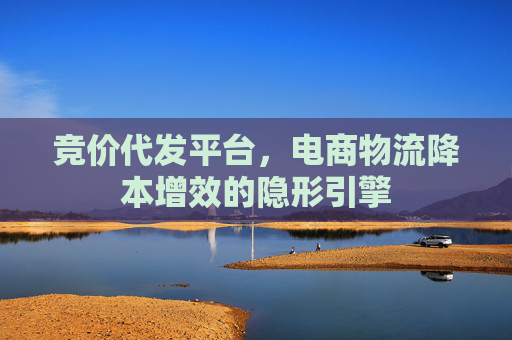 竞价代发平台，电商物流降本增效的隐形引擎