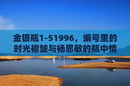 金银瓶1-51996,编号里的时光褶皱与杨思敏的瓶中情缘,金银瓶1-51996,时光褶皱里的瓶中情缘 金银瓶1-51996,编号里的时光褶皱与杨思敏的瓶中情缘,金银瓶1-51996,时光褶皱里的瓶中情缘