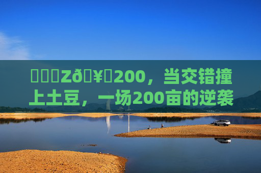 ❌乂❌Z🥔200，当交错撞上土豆，一场200亩的逆袭，交错撞土豆，200亩逆袭