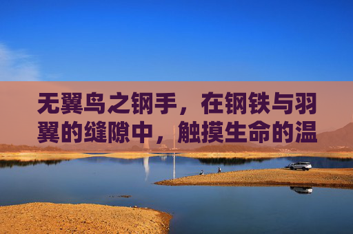 无翼鸟之钢手,在钢铁与羽翼的缝隙中,触摸生命的温度,钢手无翼鸟,钢铁羽隙间的生命温度 无翼鸟之钢手,在钢铁与羽翼的缝隙中,触摸生命的温度,钢手无翼鸟,钢铁羽隙间的生命温度