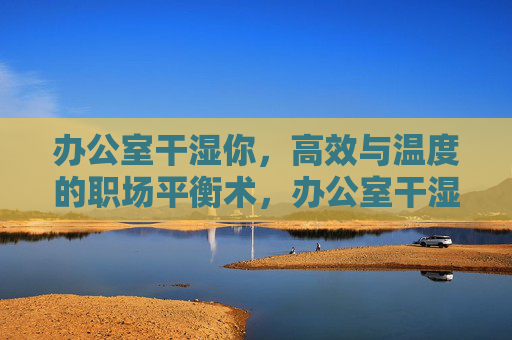 办公室干湿你，高效与温度的职场平衡术，办公室干湿平衡，高效与温度的职场术