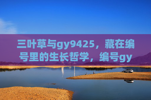 三叶草与gy9425,藏在编号里的生长哲学,编号gy9425,三叶草的生长哲学 三叶草与gy9425,藏在编号里的生长哲学,编号gy9425,三叶草的生长哲学