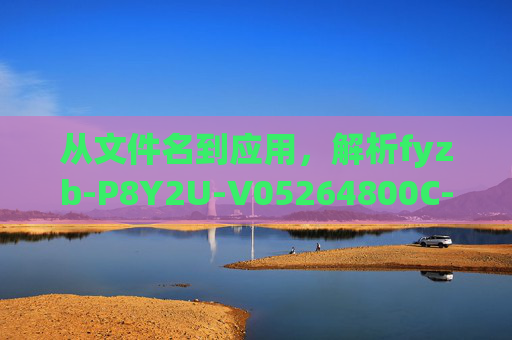 从文件名到应用，解析fyzb-P8Y2U-V05264800C-X64.APK背后的故事，从文件名到应用，解析fyzb-P8Y2U-V05264800C-X64.APK背后的故事