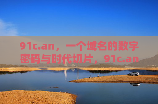 91c.an，一个域名的数字密码与时代切片，91c.an，数字密码与时代切片