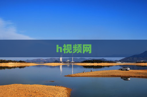 h视频网