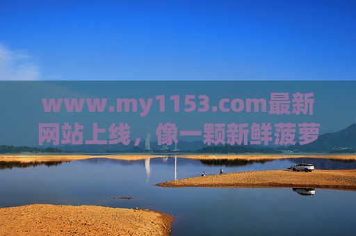 www.my1153.com最新网站上线，像一颗新鲜菠萝，为你带来多汁生活新体验，my1153.com新鲜上线，多汁生活新体验