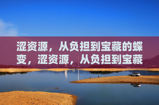 涩资源,从负担到宝藏的蝶变,涩资源,从负担到宝藏的蝶变 涩资源,从负担到宝藏的蝶变,涩资源,从负担到宝藏的蝶变