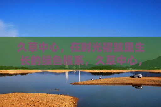 久草中心，在时光褶皱里生长的绿色根系，久草中心，时光褶皱中的绿色根系