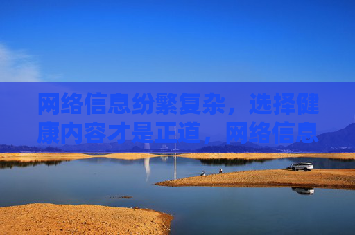 网络信息纷繁复杂,选择健康内容才是正道,网络信息纷繁,健康内容是正道 网络信息纷繁复杂,选择健康内容才是正道,网络信息纷繁,健康内容是正道