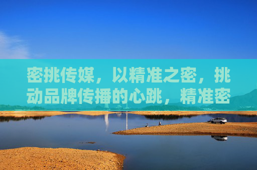 密挑传媒,以精准之密,挑动品牌传播的心跳,精准密钥,挑动品牌传播心跳 密挑传媒,以精准之密,挑动品牌传播的心跳,精准密钥,挑动品牌传播心跳
