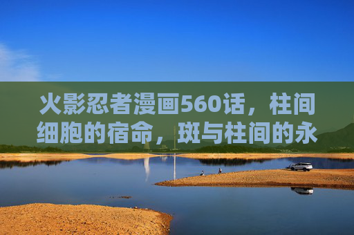 火影忍者漫画560话，柱间细胞的宿命，斑与柱间的永恒纠葛，柱间细胞的宿命，斑与柱间的永恒纠葛