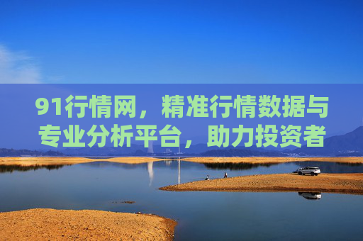 91行情网，精准行情数据与专业分析平台，助力投资者把握市场脉搏，91行情网，精准行情数据与专业分析，助力投资者把握市场脉搏