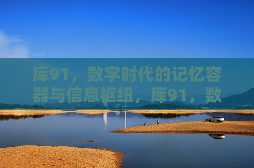 库91，数字时代的记忆容器与信息枢纽，库91，数字时代的记忆容器与信息枢纽