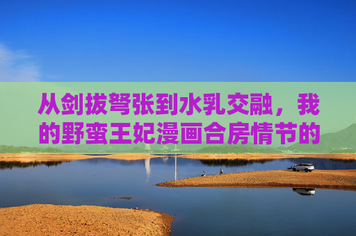 从剑拔弩张到水乳交融，我的野蛮王妃漫画合房情节的情感张力与人物蜕变，野蛮王妃合房，从剑拔弩张到水乳交融的情感蜕变与张力