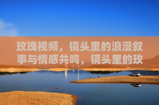 玫瑰视频，镜头里的浪漫叙事与情感共鸣，镜头里的玫瑰，浪漫叙事与情感共鸣