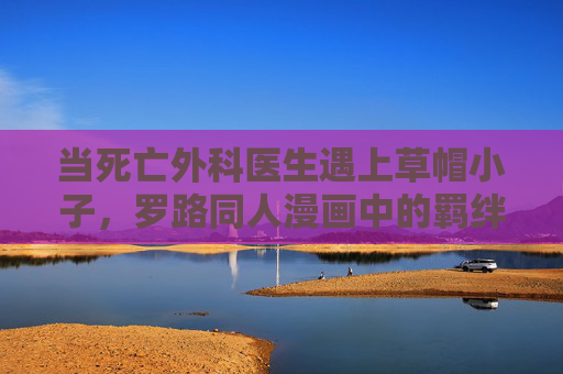 当死亡外科医生遇上草帽小子，罗路同人漫画中的羁绊与狂想，死医遇草帽，罗路羁绊的狂想