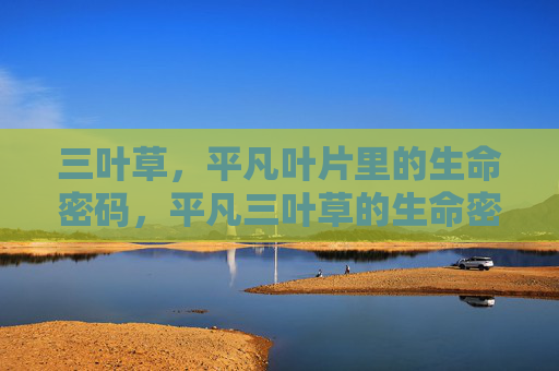 三叶草，平凡叶片里的生命密码，平凡三叶草的生命密码