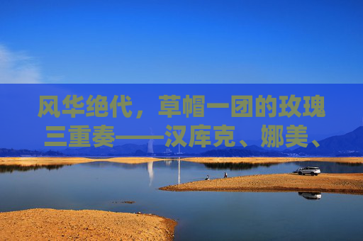 风华绝代,草帽一团的玫瑰三重奏——汉库克、娜美、罗宾的漫画魅力,草帽玫瑰三重奏,汉库克、娜美、罗宾的风华漫画魅力 风华绝代,草帽一团的玫瑰三重奏——汉库克、娜美、罗宾的漫画魅力,草帽玫瑰三重奏,汉库克、娜美、罗宾的风华漫画魅力