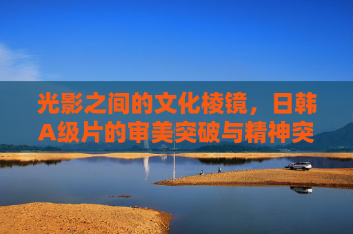 光影之间的文化棱镜，日韩A级片的审美突破与精神突围，光影棱镜，日韩A级片的审美突破与精神突围