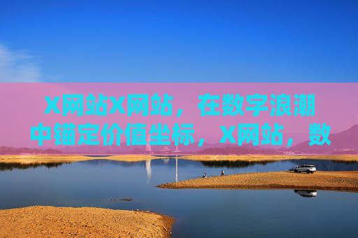 X网站X网站，在数字浪潮中锚定价值坐标，X网站，数字浪潮中的价值坐标锚定